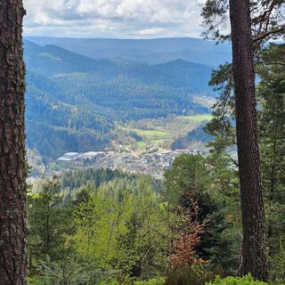 Blick vom Staufenkopf auf Schenkenzell