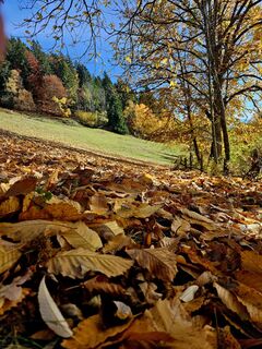 Foto von Don  Pedro entlang der Tour