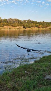 Fotografia z Aga M na trase