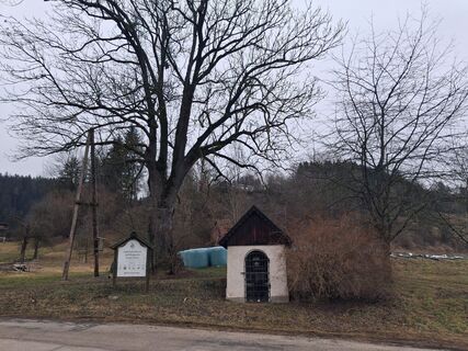 Zdjęcie z maria_hochschwab wzdłuż trasy