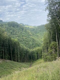 Fotografija s spletne strani Andreas Reiter 6 na poti