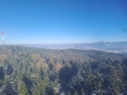 Fotografija s spletne strani Christian Förch na poti