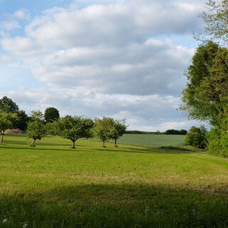 Obstbaumwiesen rund um Neubulach