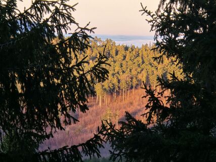 Photo de TwilightTea le long du parcours