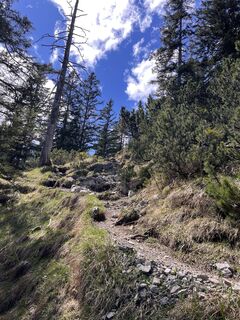 Photo de steffi hrms le long du parcours