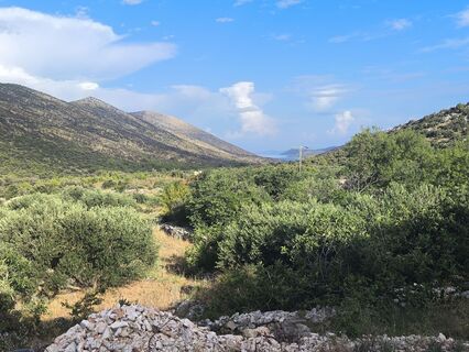 Fotografia z WilliSt na trase