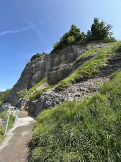 Fotografija s spletne strani reemyyse na poti