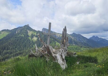 Photo de hannes.d le long du parcours