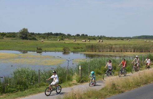 Marais-la-bassee_mit_fahrrädern<Le-Crotoy<Somme<Picardie