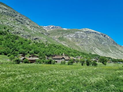 Zemljevid