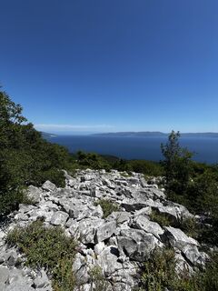 Fotografia z laurenzhz na trase
