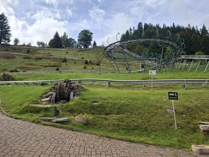 Photo de Sabine Krohn le long du parcours