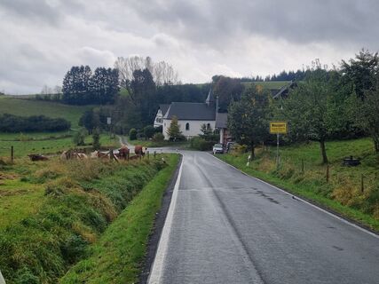 Photo de Volker Wagener le long du parcours