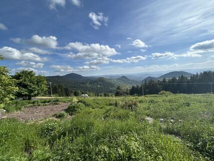 Fotografia z Andi Felix na trase