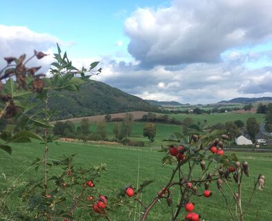 Blick nach Weninghausen