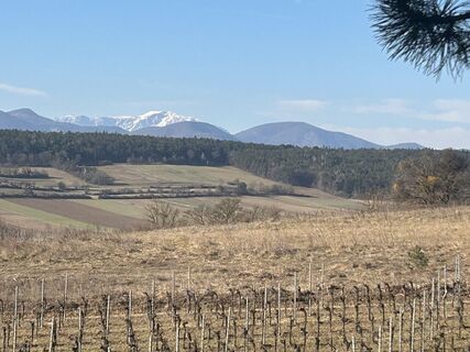 Fotografie z Raphaela Kirschnick na trase
