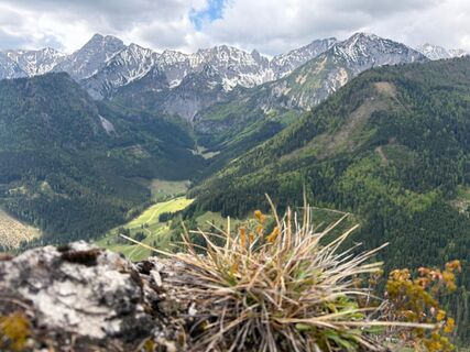 Rosenau am Hengstpaß, Oberösterreich/Österreich
