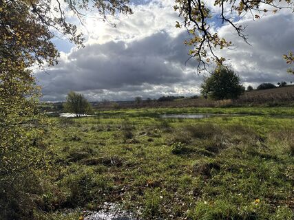 Foto da Grizzli lungo il tour