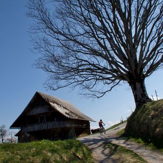Trombyfang -  Rund ums Guggershorn