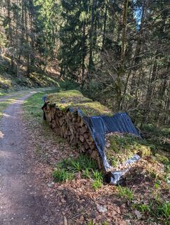 Foto von Juan Tafurth entlang der Tour