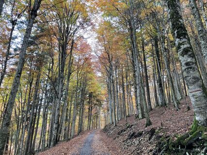 Foto von Simone Soldera entlang der Tour