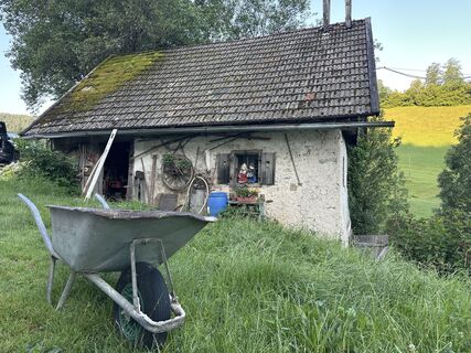 Foto von Natur_erleben_dg entlang der Tour