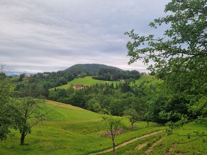Fotografie z Grizli na trase
