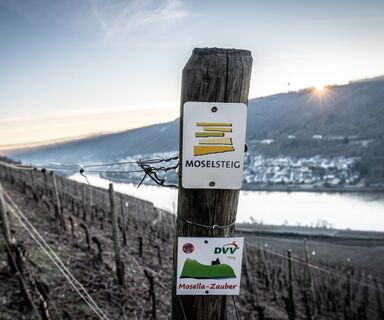 Moselsteigbeschilderung bei Winningen