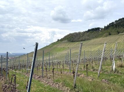 Foto von Norbert Herbig entlang der Tour