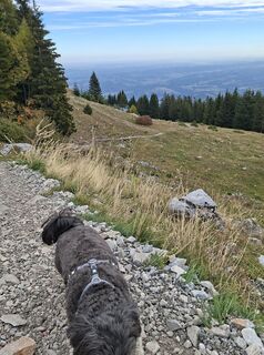 Photo de Gustl le long du parcours