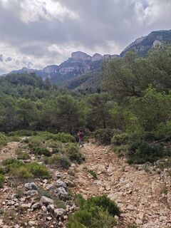 Photo de Car Los le long du parcours