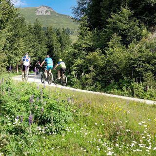 Mountainbiken in Piesendorf und Niedernsill
