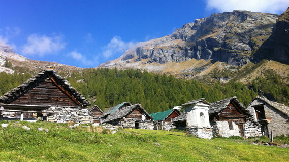Alpe Magnello