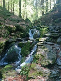 Fotografie z Dagmar Hofer na trase
