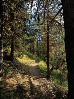 Foto von Aner entlang der Tour