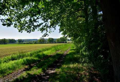 TERRA.track Ruller Bruch