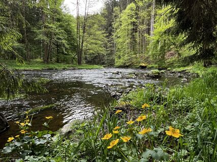 Photo de Eppingerklaus le long du parcours