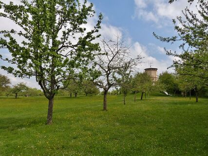 Streuobstwiese in Büchelberg
