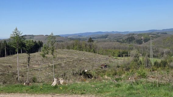 Zdjęcie z Gabriele Wagener wzdłuż trasy