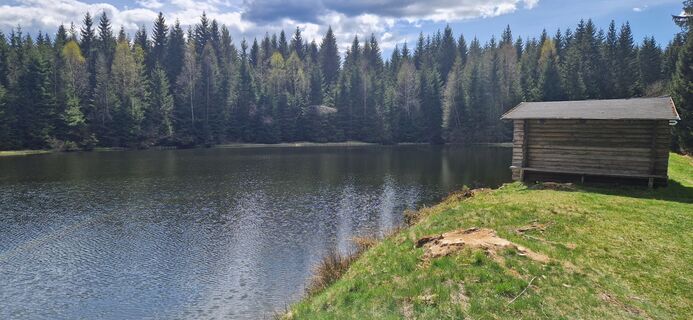 Photo de Ronny Kalusa le long du parcours
