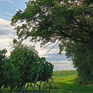 Fotó a Susanne Poschner honlapról a túra során