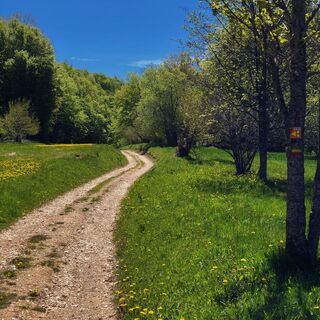 Plateau de Retord