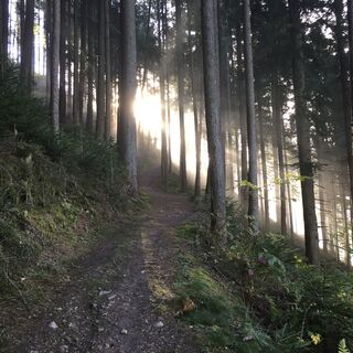Weg zum Müllerfuchs