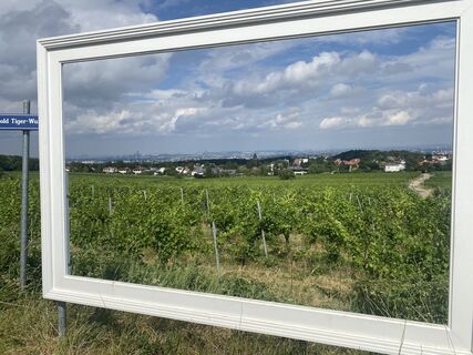 Fotografie z petermarx6 na trase