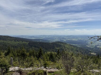 Photo de Norbert Herbig le long du parcours