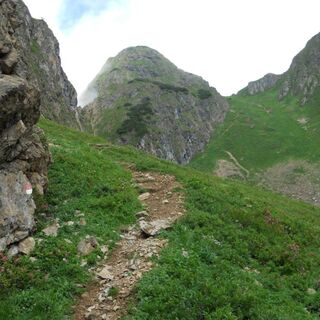 Spielberghorn