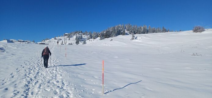 Foto von Janez Perko entlang der Tour