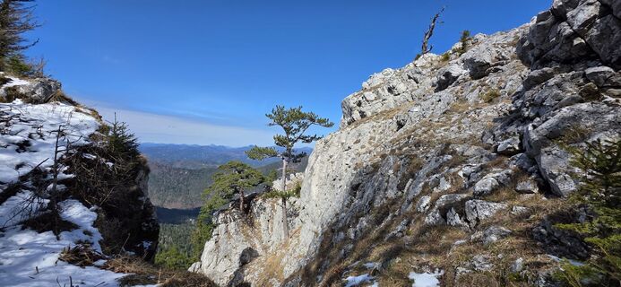 Fotografija s spletne strani Helmut Neuhold na poti