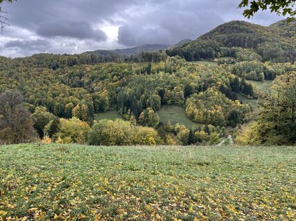 Fotografija s spletne strani Helmut Windbrechtinger na poti