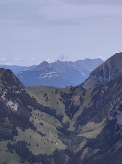 Foto von King Kong entlang der Tour